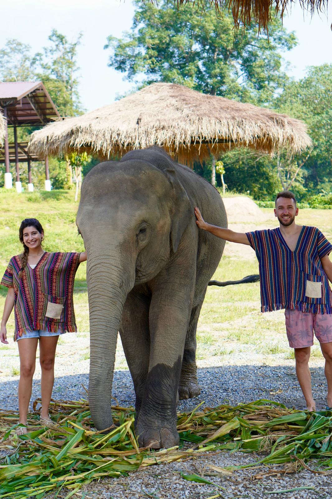 PHOTO-2026-02-12-18-34-53 3